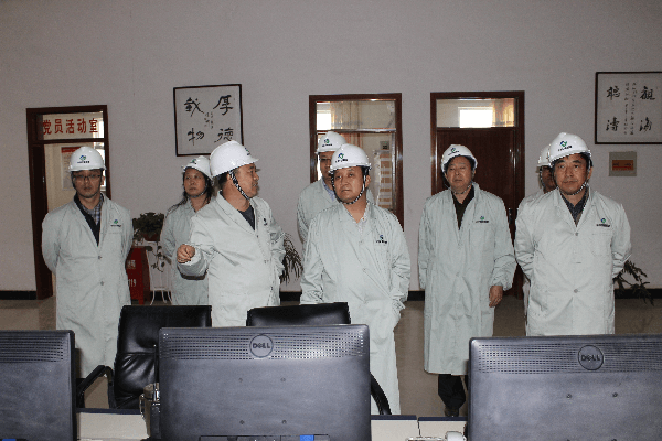 陜西省國(guó)資委企業(yè)改革與改組處周望春處長(zhǎng)檢查指導(dǎo)工作