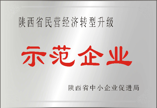 陜西省民營經(jīng)濟(jì)轉(zhuǎn)型升級示范企業(yè)
